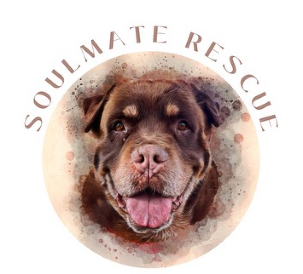 Soulmate Rescue